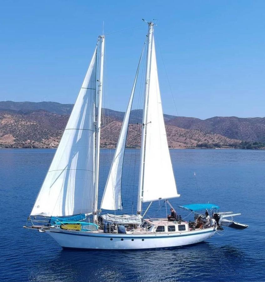 Fantastico Velero En Barcelona Hotel Sant Adria de Besos Bagian luar foto